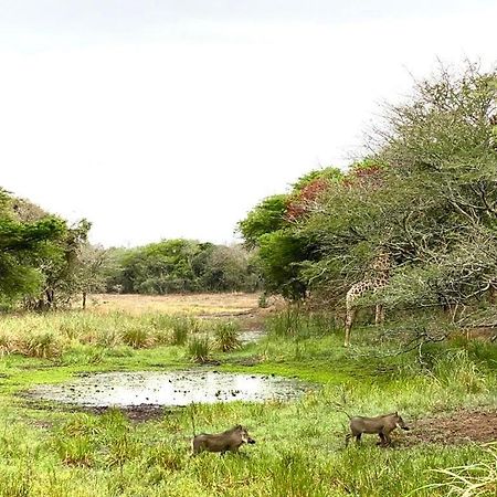 Hideaways Lazuli Bush Lodge, Hluhluwe Exteriér fotografie