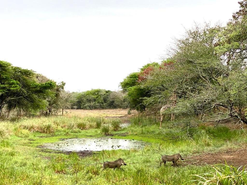Hideaways Lazuli Bush Lodge, Hluhluwe Exteriér fotografie